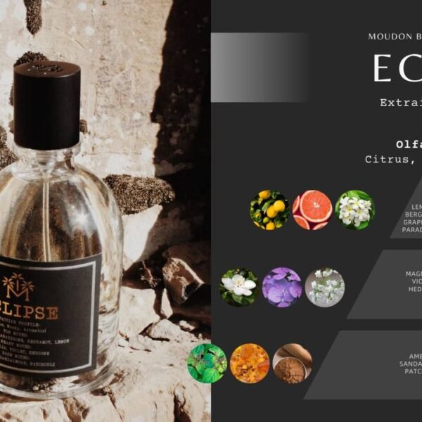 عطر اکلپس، عطری برای افراد خاص حجم 100 میل